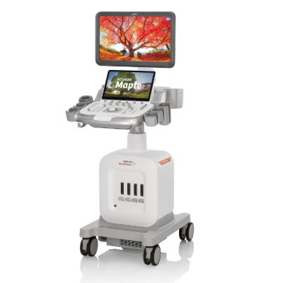 Siemens ACUSON Maple